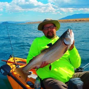 Meet your Posher, Joe